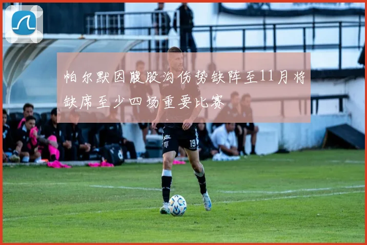 帕尔默因腹股沟伤势缺阵至11月将缺席至少四场重要比赛