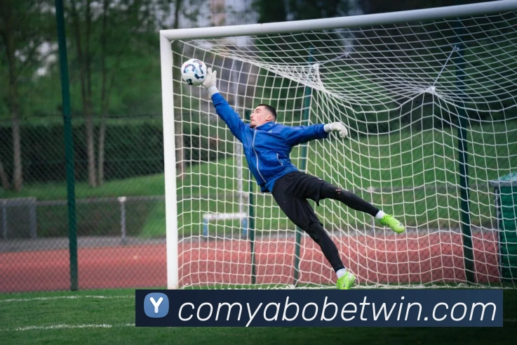 企业概况
